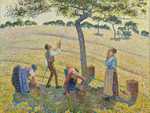 Harvest of apples, a work by Pissarro and his own take on Pointillism.